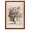 12" x 16" Vintage Vase in Sepia Framed Wall Art, Contemporary Floral Home Décor, Glass Facing and Hanging Hardware Included